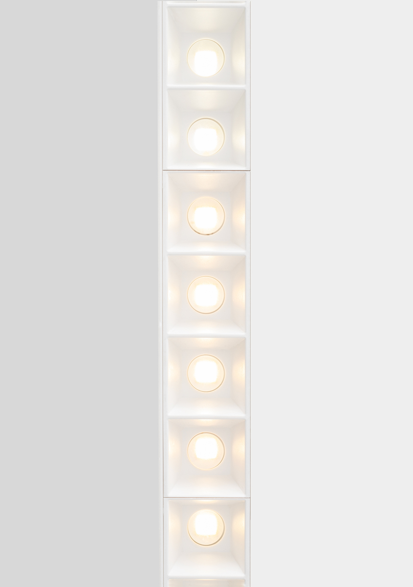Image of A.39 and Refractive cells.