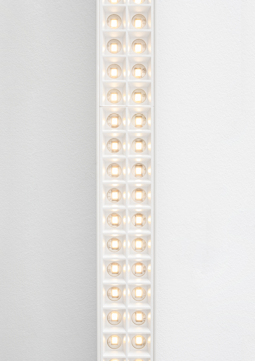 Image of A.39 and Microrefractive cells.