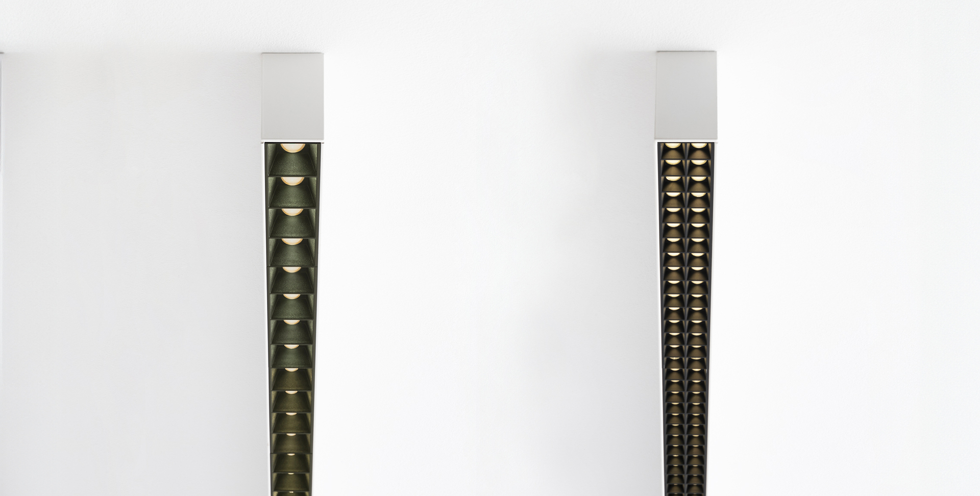 Image of A.39 and Microrefractive cells.