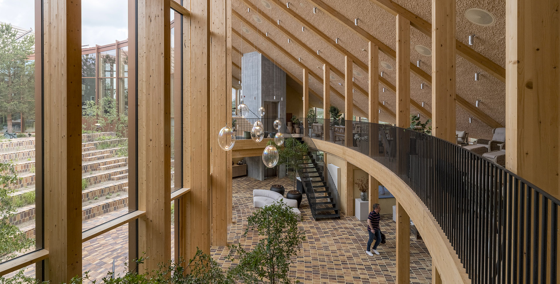 Atrium view featuring Stellar Nebula pendants integrated into the timber architecture.