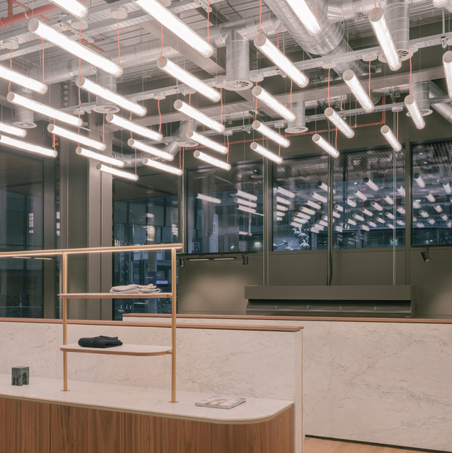 Image of the shop's main hall illuminated with a series of Criosfera.