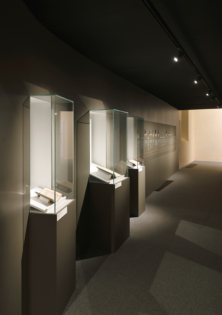 Image of some display cases illuminated by A.24 with Vector Spots