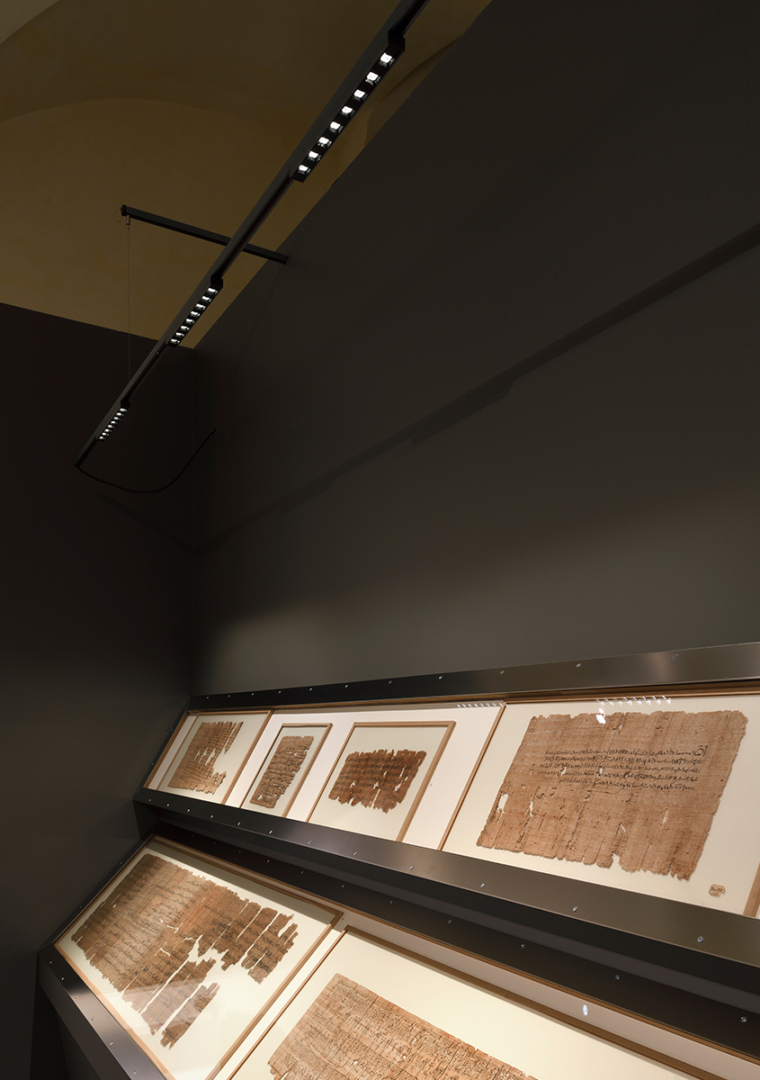 Image of some papyri inside a display case illuminated by Turn Around with Sharp modules
