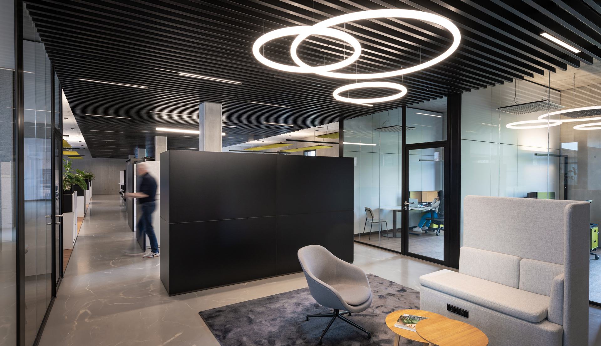 Image of the interior of the office illuminated with Alphabet of Light Circular.