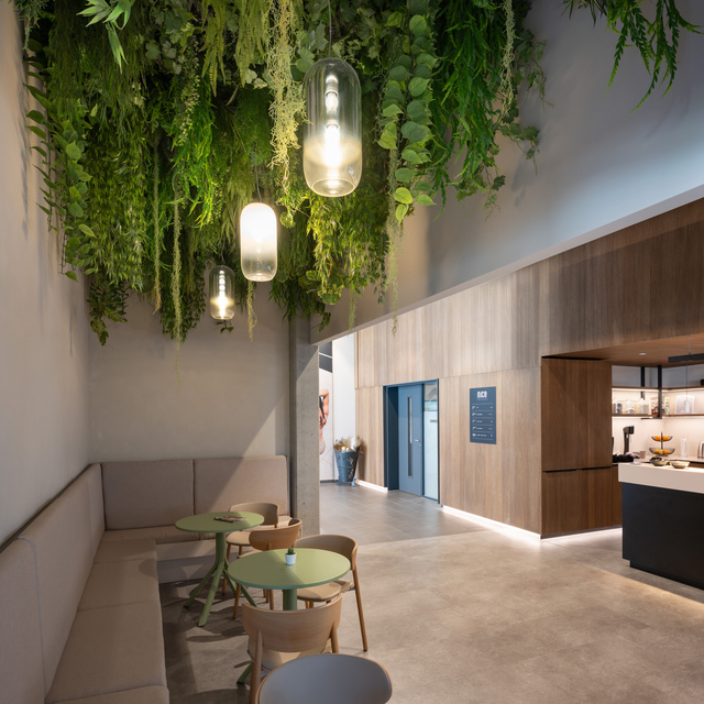 Image of the bar area inside the gym, illuminated with suspended Gople.