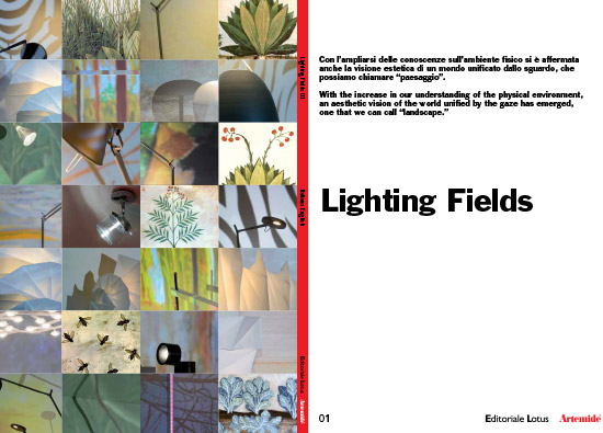lighting fields image